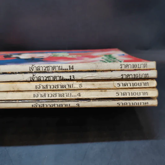 เจ้าสาวซาตาน เล่ม 3,4,6,13,14 รูปที่ 2