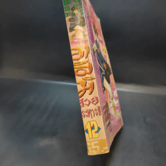 อาสึมิ สวยประหาร เล่ม 12 รูปที่ 13
