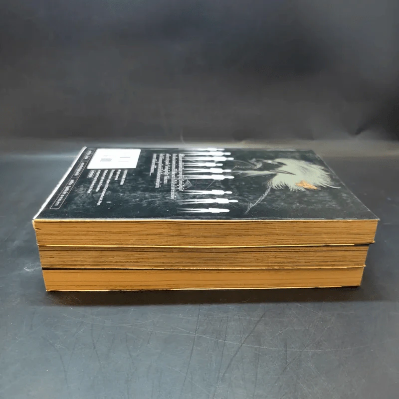 ผ่าพิภพไททัน เล่ม 4,5,8 รูปที่ 4