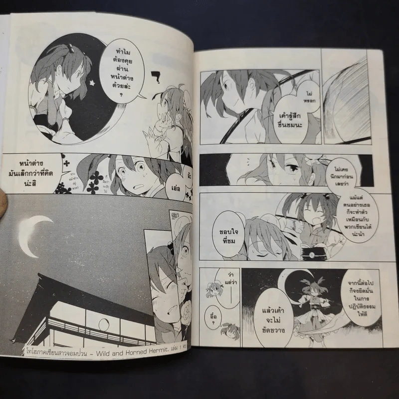 โทโฮ ภาค เซียนสาวจอมป่วน Wild And Horned Hermit เล่ม 1 รูปที่ 14
