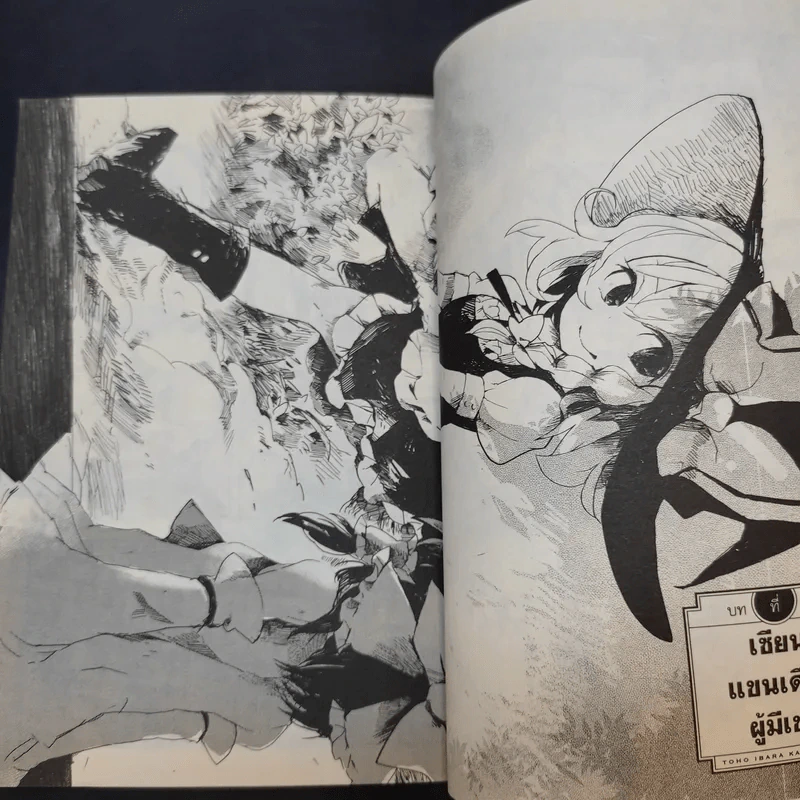 โทโฮ ภาค เซียนสาวจอมป่วน Wild And Horned Hermit เล่ม 1 รูปที่ 9