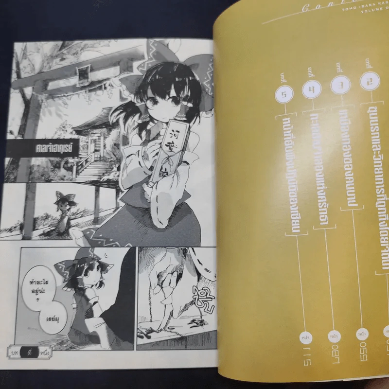 โทโฮ ภาค เซียนสาวจอมป่วน Wild And Horned Hermit เล่ม 1 รูปที่ 8