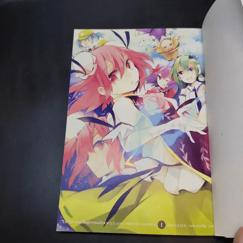 โทโฮ ภาค เซียนสาวจอมป่วน Wild And Horned Hermit เล่ม 1 รูปที่ 7