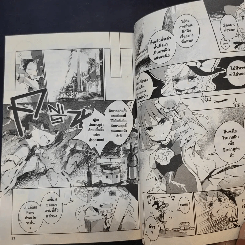 โทโฮ ภาค เซียนสาวจอมป่วน Wild And Horned Hermit เล่ม 1 รูปที่ 13
