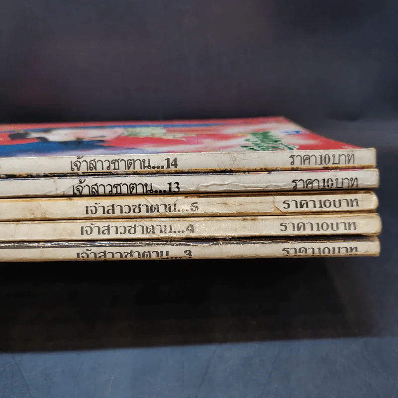 เจ้าสาวซาตาน เล่ม 3,4,6,13,14 รูปที่ 2