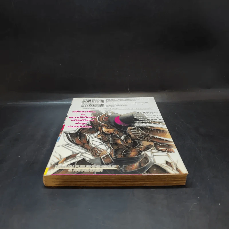 เซ็นต์เซย์ย่า จ้าวนรกฮาเดส เล่ม 19 รูปที่ 4