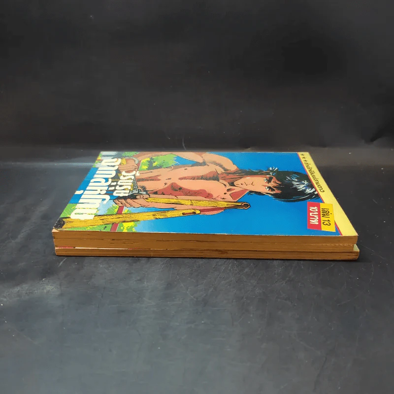 วีรบุรุษจากลหุโทษ เล่ม 2,12,13 รูปที่ 3