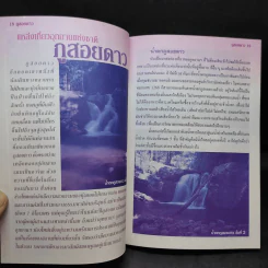 Study ฉบับ แค้มป์คาร์ ภูสอยดาว รูปที่ 12