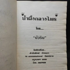 น้ำผึ้งกลางไพร - บัวริน รูปที่ 8