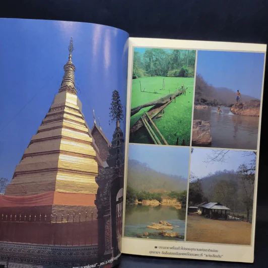 Study ฉบับ แพร่ รูปที่ 8