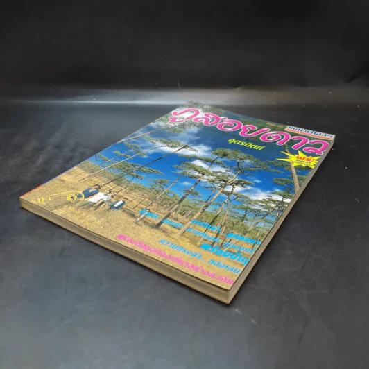 Study ฉบับ แค้มป์คาร์ ภูสอยดาว รูปที่ 7