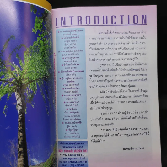 Study ฉบับ แค้มป์คาร์ ภูสอยดาว รูปที่ 11