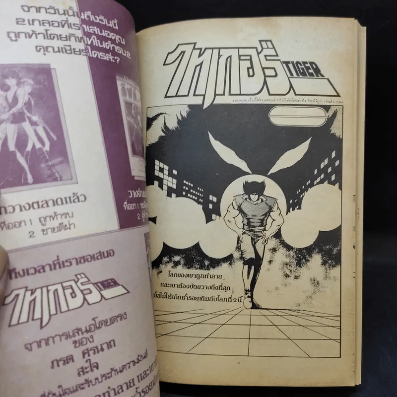 ไทเกอร์ Tiger เล่ม 2 รูปที่ 8