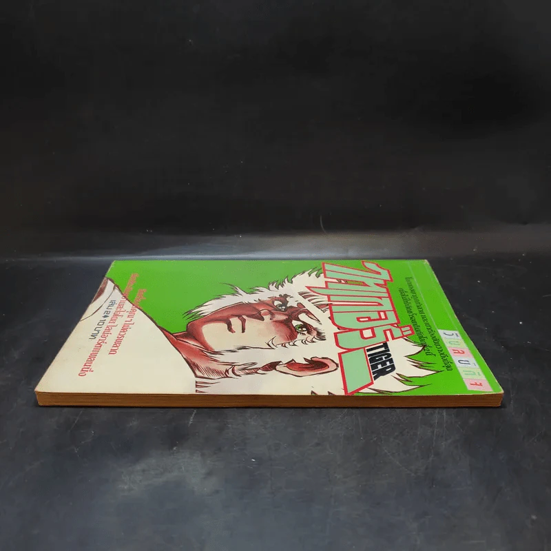 ไทเกอร์ Tiger เล่ม 2 รูปที่ 5