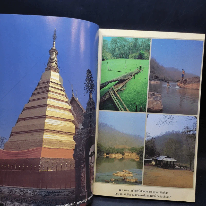 Study ฉบับ แพร่ รูปที่ 8