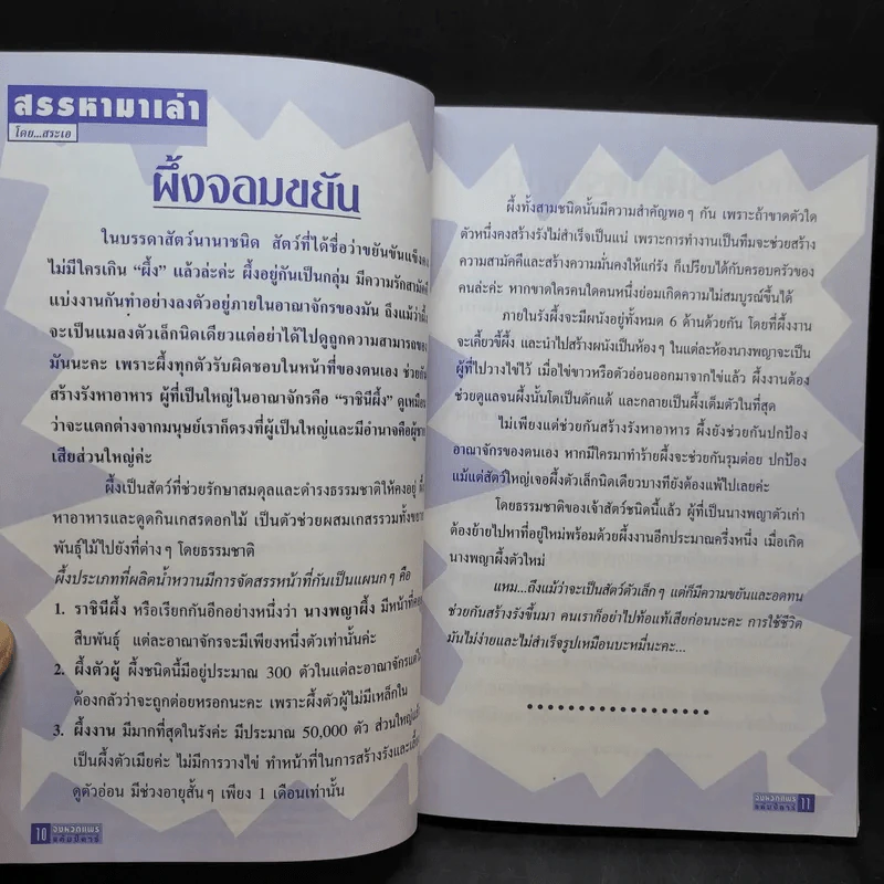 Study ฉบับ แพร่ รูปที่ 12