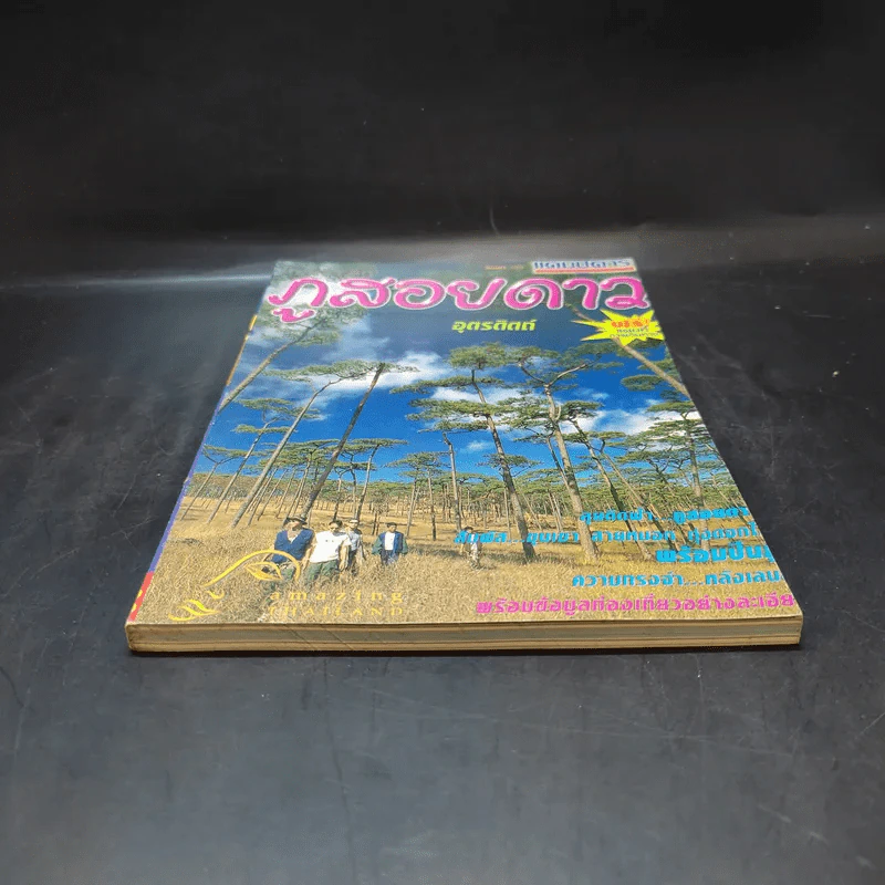 Study ฉบับ แค้มป์คาร์ ภูสอยดาว รูปที่ 4