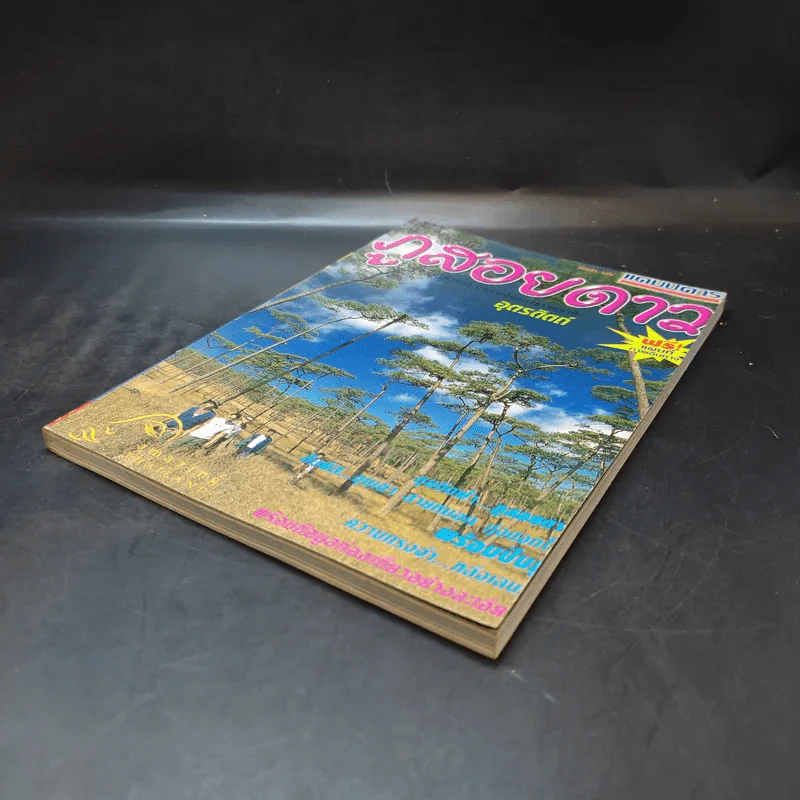 Study ฉบับ แค้มป์คาร์ ภูสอยดาว รูปที่ 7