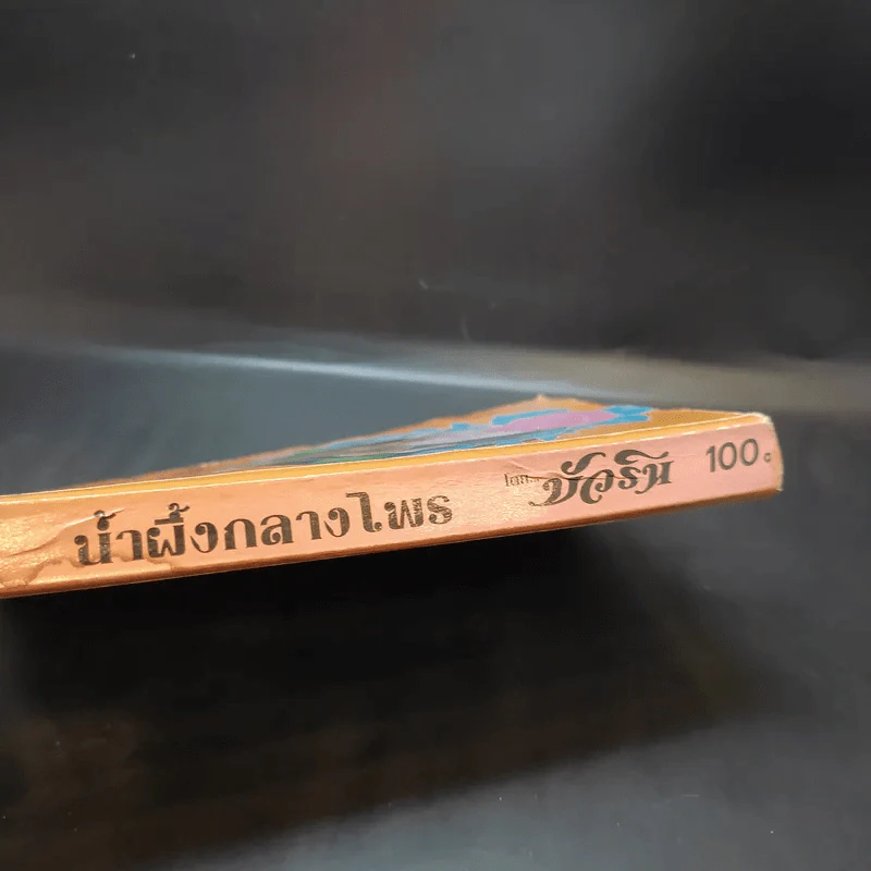 น้ำผึ้งกลางไพร - บัวริน รูปที่ 13