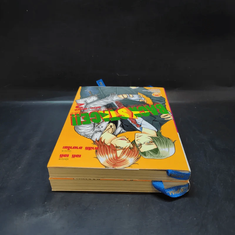 นิยายวาย Back Stage เล่ม 1-2 รูปที่ 6