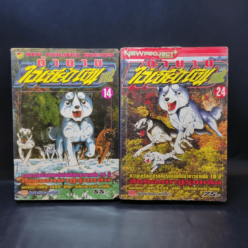 ตำนานไอ้เขี้ยวเงิน ภาค 2 เล่ม 1-5,8,9,10,13,14,24 รูปที่ 10