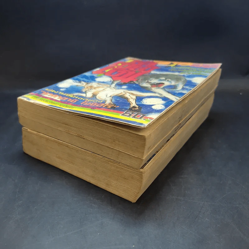 ไอ้เขี้ยวเงิน เล่ม 2,4 รูปที่ 7