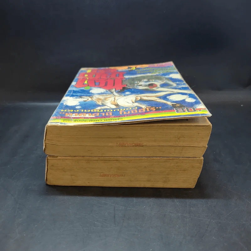 ไอ้เขี้ยวเงิน เล่ม 2,4 รูปที่ 4
