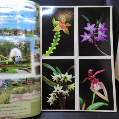 อนุสาร อ.ส.ท. ปีที่ 46 ฉบับที่ 1 ส.ค.2548 รูปที่ 9