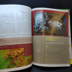 อนุสาร อ.ส.ท. ปีที่ 46 ฉบับที่ 1 ส.ค.2548 รูปที่ 10