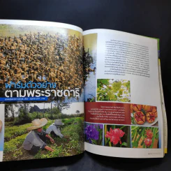 อนุสาร อ.ส.ท. ปีที่ 45 ฉบับที่ 1 ส.ค.2547 รูปที่ 10