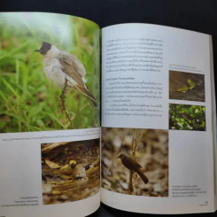 Advanced Thailand Geographic ปีที่ 16 ฉบับที่ 125 พ.ศ.2553 รูปที่ 14
