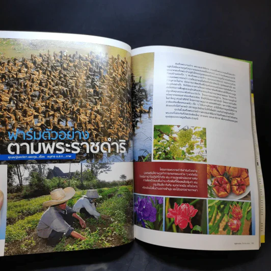 อนุสาร อ.ส.ท. ปีที่ 45 ฉบับที่ 1 ส.ค.2547 รูปที่ 10