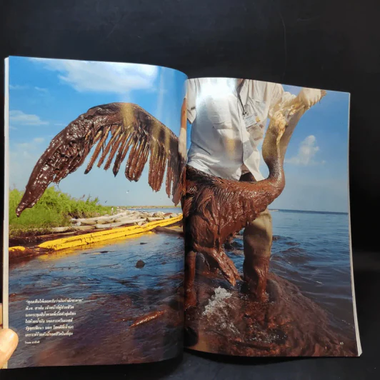 National Geographic ฉบับที่ 111 ต.ค.2553 วิกฤติน้ำมันรั่ว รูปที่ 13