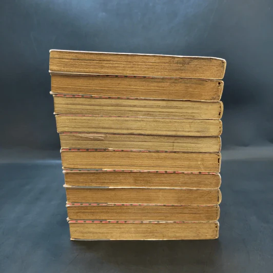 เรียกเขาว่าอีกา! เล่ม 1,2,3,4,6,16,18,19,20,21 รูปที่ 5
