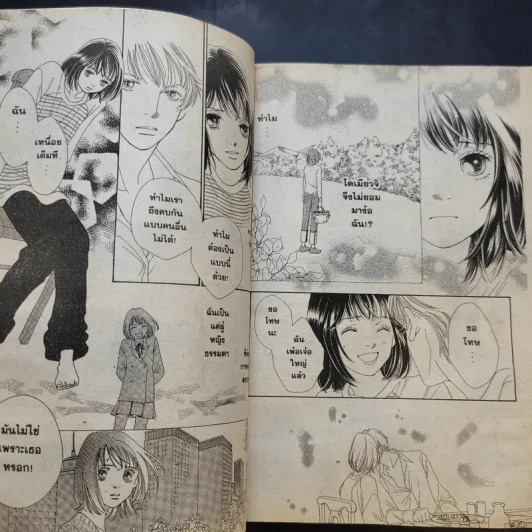 F4 สาวแกร่งแรงเกินร้อย เล่ม 1-3,6-12,17-20,29,30 รูปที่ 10