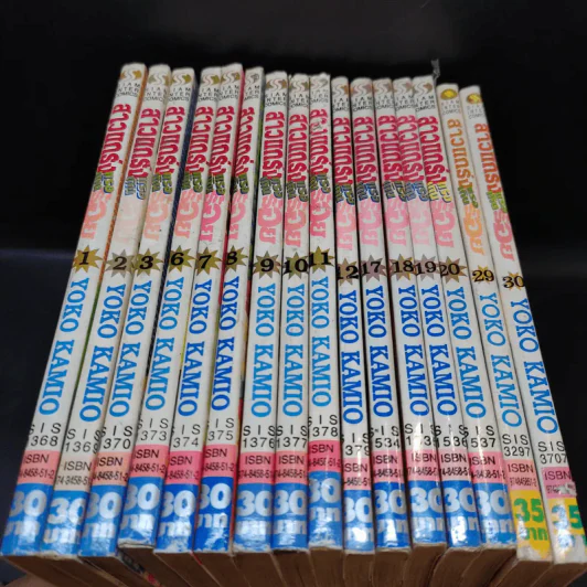 F4 สาวแกร่งแรงเกินร้อย เล่ม 1-3,6-12,17-20,29,30 รูปที่ 3