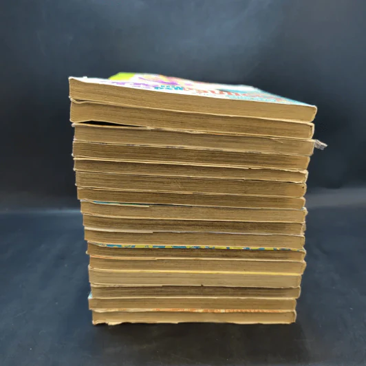 F4 สาวแกร่งแรงเกินร้อย เล่ม 1-3,6-12,17-20,29,30 รูปที่ 6