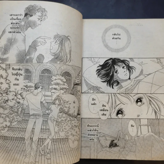 F4 สาวแกร่งแรงเกินร้อย เล่ม 1-3,6-12,17-20,29,30 รูปที่ 9