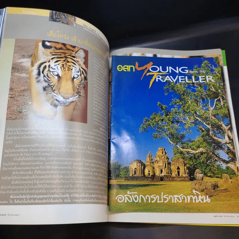 อนุสาร อ.ส.ท. ปีที่ 45 ฉบับที่ 5 ธ.ค.2547 รูปที่ 11