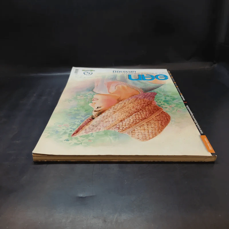 อนุสาร อ.ส.ท. ปีที่ 49 ฉบับที่ 1 ส.ค.2551 รูปที่ 5