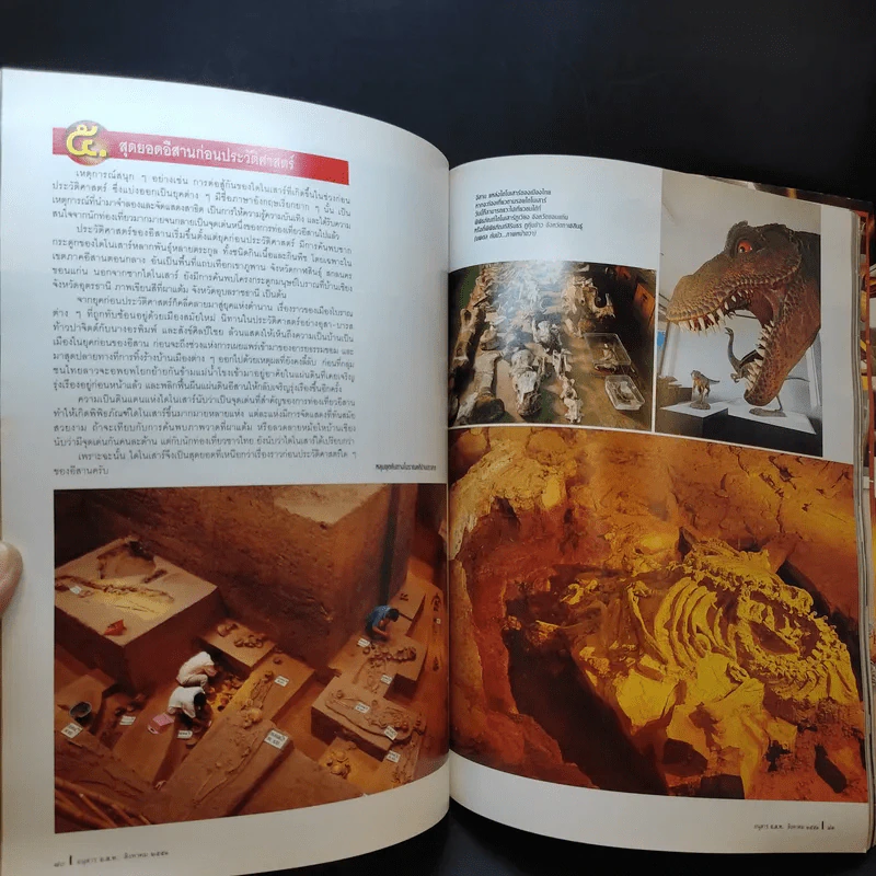 อนุสาร อ.ส.ท. ปีที่ 49 ฉบับที่ 1 ส.ค.2551 รูปที่ 9