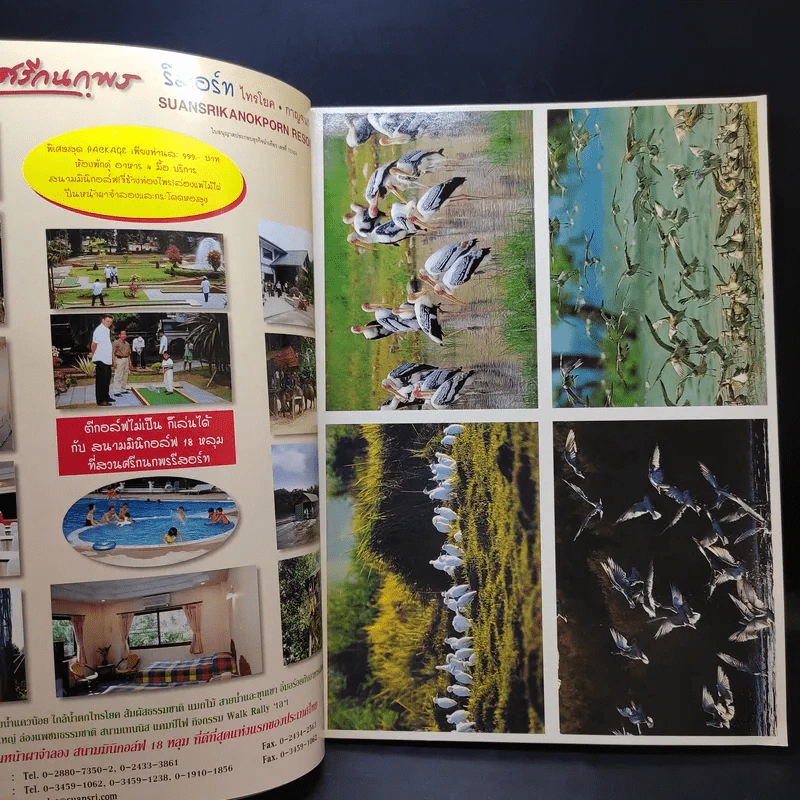 อนุสาร อ.ส.ท. ปีที่ 43 ฉบับที่ 5 ธ.ค.2545 รูปที่ 10