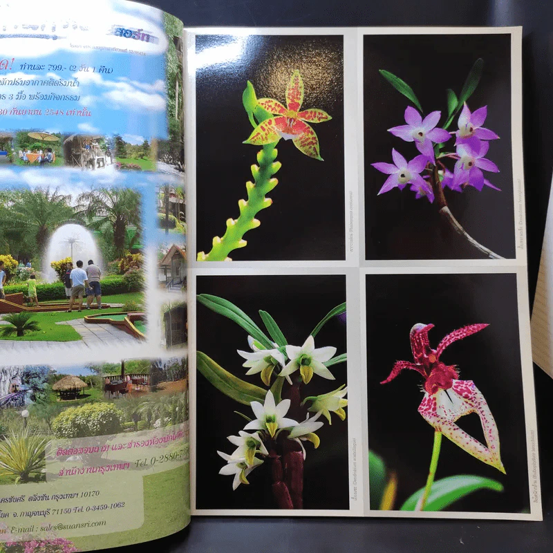 อนุสาร อ.ส.ท. ปีที่ 46 ฉบับที่ 1 ส.ค.2548 รูปที่ 9