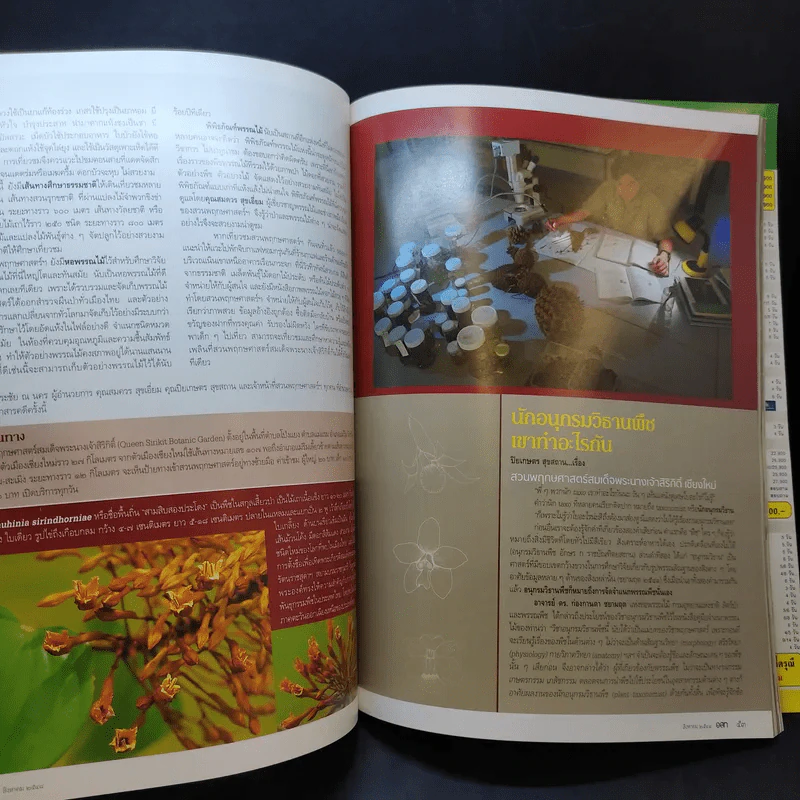 อนุสาร อ.ส.ท. ปีที่ 46 ฉบับที่ 1 ส.ค.2548 รูปที่ 10