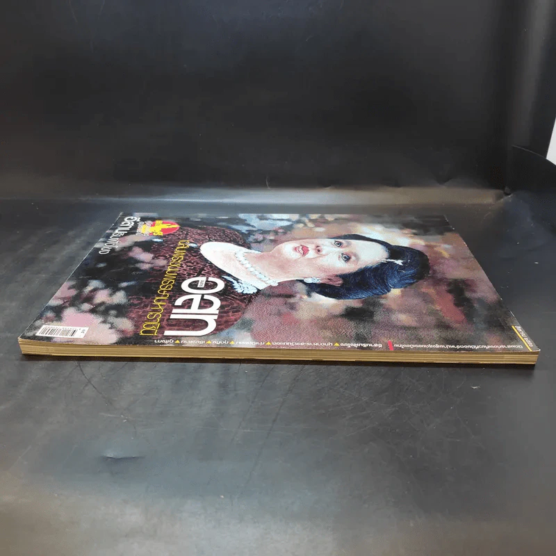 อนุสาร อ.ส.ท. ปีที่ 48 ฉบับที่ 1 ส.ค.2550 รูปที่ 4