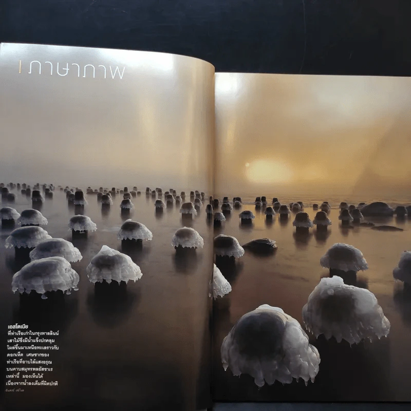 National Geographic ฉบับที่ 188 มี.ค.2560 พลิกตำนานไวกิ้ง รูปที่ 10