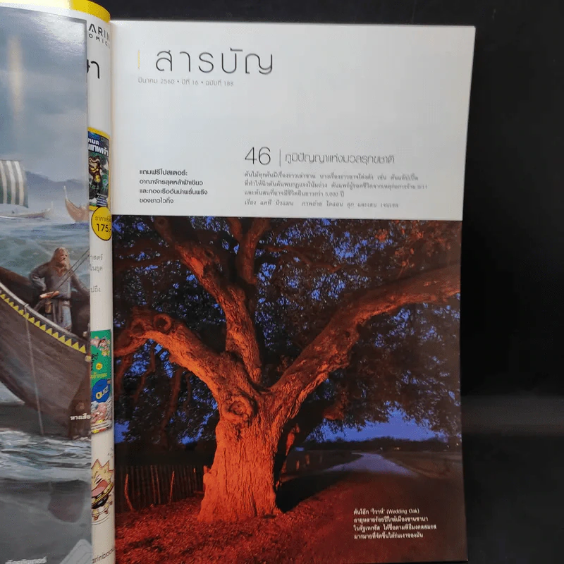 National Geographic ฉบับที่ 188 มี.ค.2560 พลิกตำนานไวกิ้ง รูปที่ 7