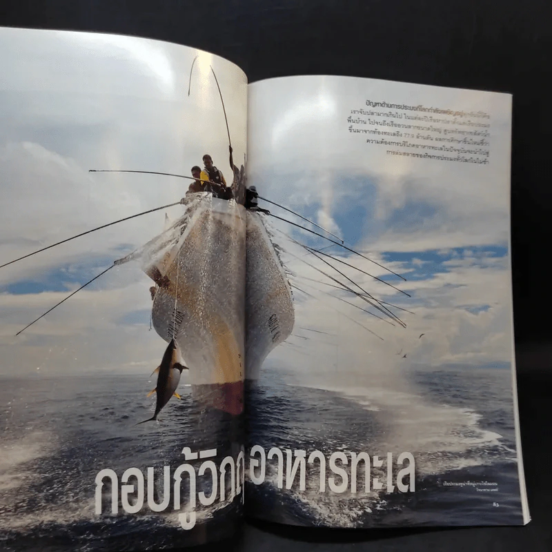 National Geographic ฉบับที่ 111 ต.ค.2553 วิกฤติน้ำมันรั่ว รูปที่ 15