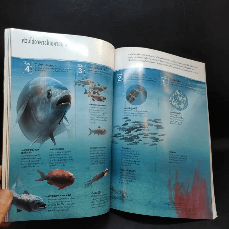 National Geographic ฉบับที่ 111 ต.ค.2553 วิกฤติน้ำมันรั่ว รูปที่ 17