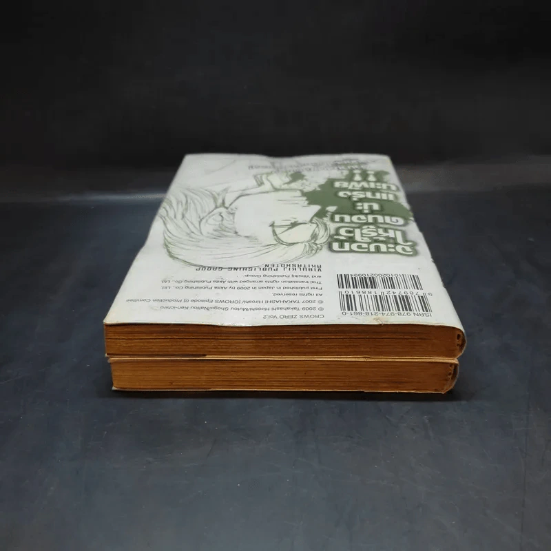เรียกเขาว่าอีกา ภาค Zero เล่ม 1-2 รูปที่ 6